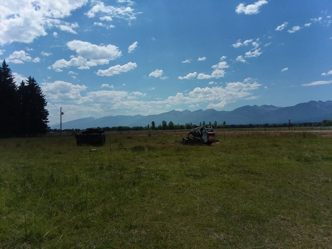 Skid steer and dump trailer, beginning of shop with a view